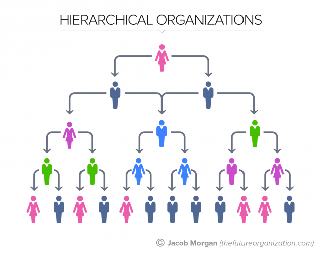 Hierarchical organizational structure diagram